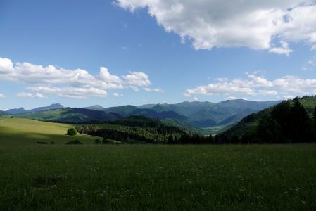 _dsc7418.jpg