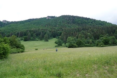 _dsc7503_bergwiese_ber_unsere_pension.jpg