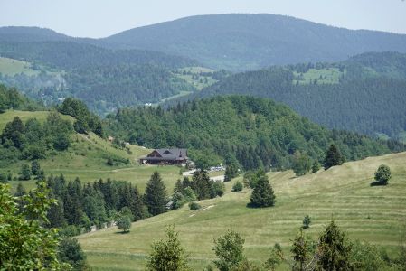 _dsc7910_k_serei_salas_syrex.jpg