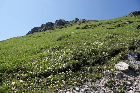 _dsc8015_bergwiese_unten_chleb.jpg