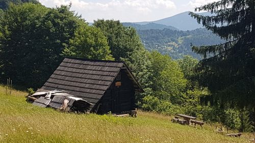 20220701_112424.jpg