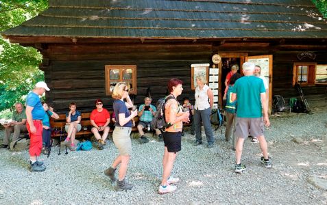 _dsc8293.jpg
