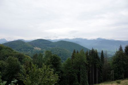 _dsc8642.jpg