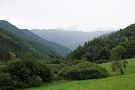 _dsc8779.jpg