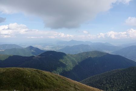 _dsc8817.jpg