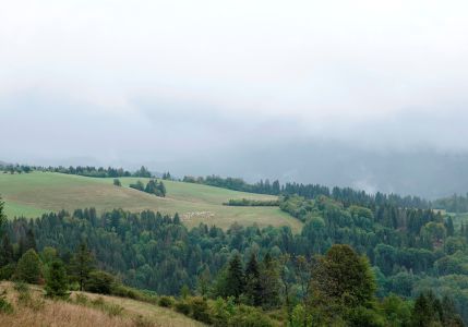 _dsc9253.jpg