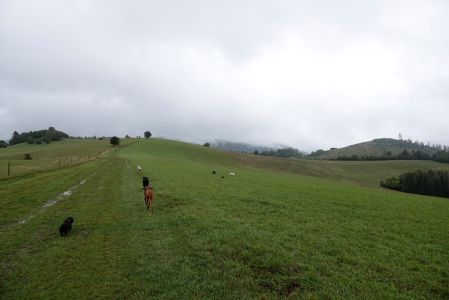 _dsc9256.jpg