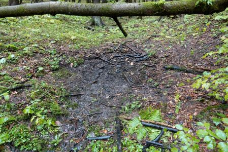 _dsc9342_das_wolfsriss_restloss_entsorgt.jpg