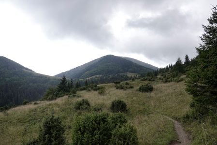 _dsc9376.jpg