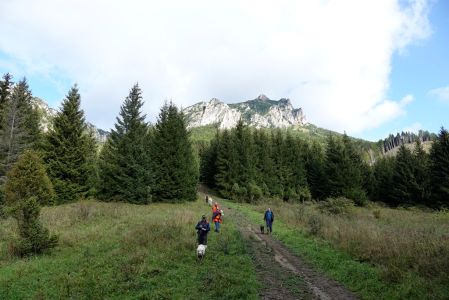 _dsc9387.jpg