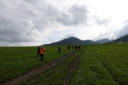 _dsc9574.jpg