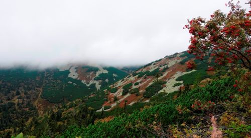 _dsc9619.jpg