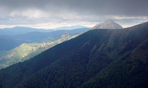 _dsc9624.jpg