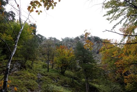_dsc9638.jpg