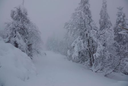 _dsc9835.jpg