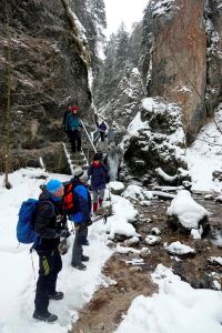 _dsc9863.jpg