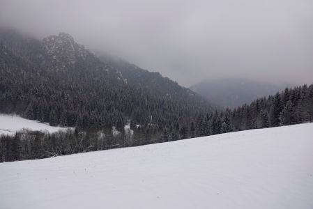 _dsc9888.jpg