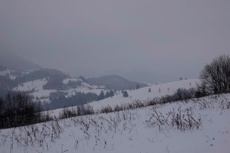 _dsc9889.jpg