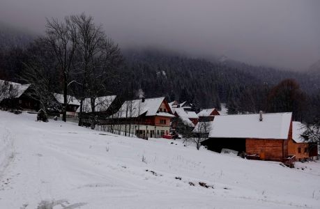 _dsc9890.jpg