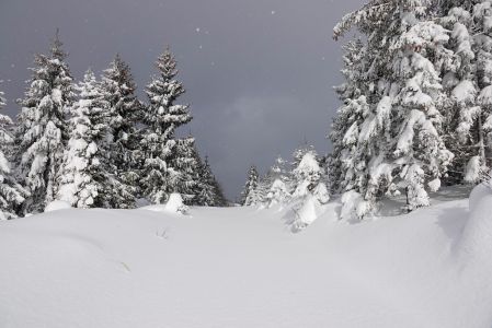 _dsc0503.jpg