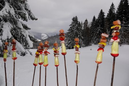 _dsc0506spie_e_a_la_vlado.jpg