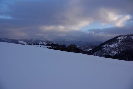 _dsc0520.jpg