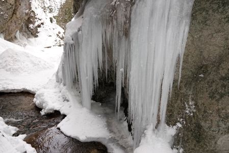 _dsc0937.jpg