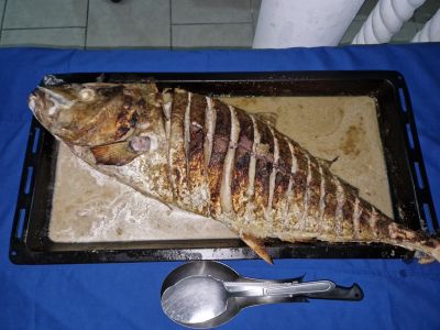 20230324_191258.jpg