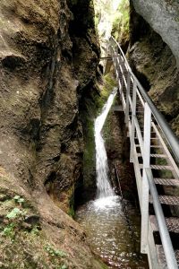 _dsc4393_nove_diery.jpg