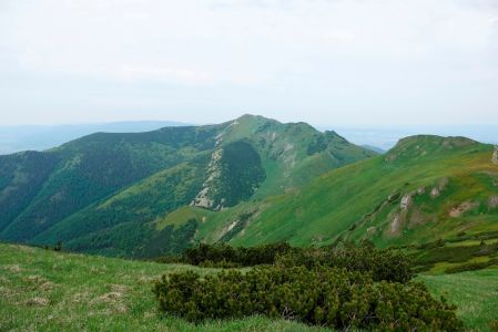 _dsc5498_maly_krivan.jpg