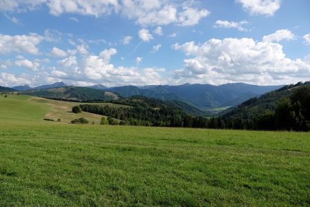 _dsc7085.jpg
