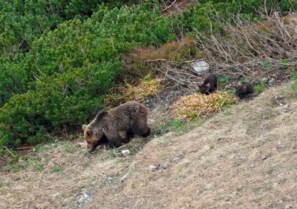 13.5. - 20.5. 2023 Naturreise im Nationalpark Mala Fatra und Umgebung