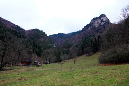 _dsc8051.jpg