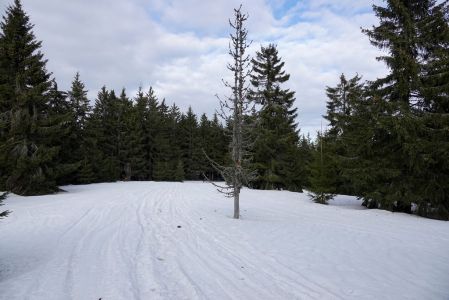 _dsc8138.jpg