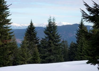 _dsc8139_die_hohe_tatra_im_hintergrund.jpg