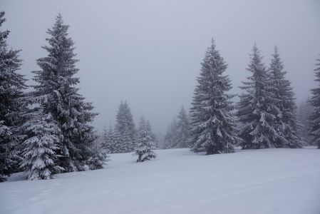 _dsc8455.jpg