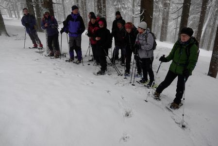_dsc8475_gruppe_an_frische_wolfsspuren.jpg