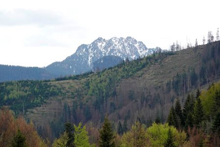 _dsc0187_maly_und_hinten_der_velky_rozsutec.jpg