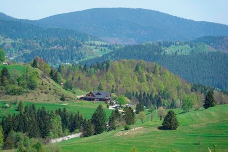 _dsc0276_k_serei_syrex.jpg