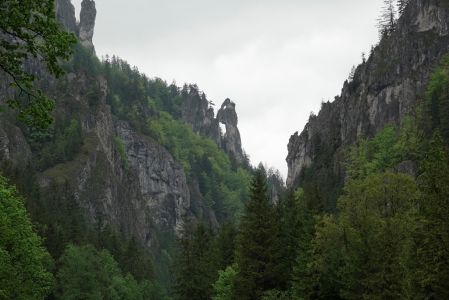 _dsc0681_betender_m_nch.jpg