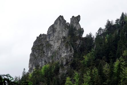 _dsc0707_das_dromedar.jpg