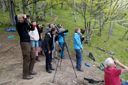 _dsc1193_schauen_nach_b_ren.jpg