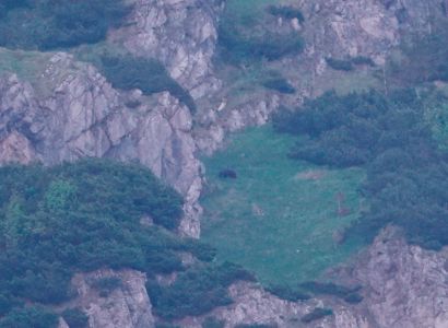 _dsc1741_b_r_auf_dem_velky_rozsutec.jpg