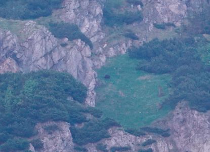 _dsc1743_b_r_auf_dem_velky_rozsutec.jpg