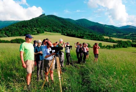 _dsc2785_schauen_nach_b_ren.jpg