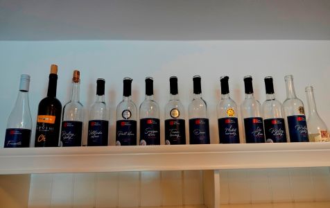 _dsc2892_nach_der_weisweinprobe.jpg
