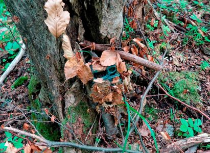 _dsc3577_fotofalle.jpg