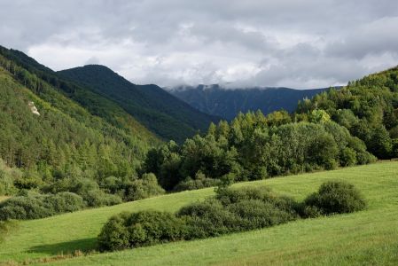 _dsc4599_tal_bela.jpg