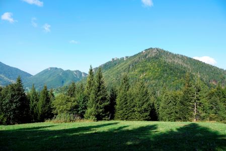 _dsc4835.jpg