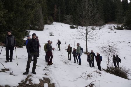 _dsc5278_gruppe_an_frische_wolfsspuren.jpg